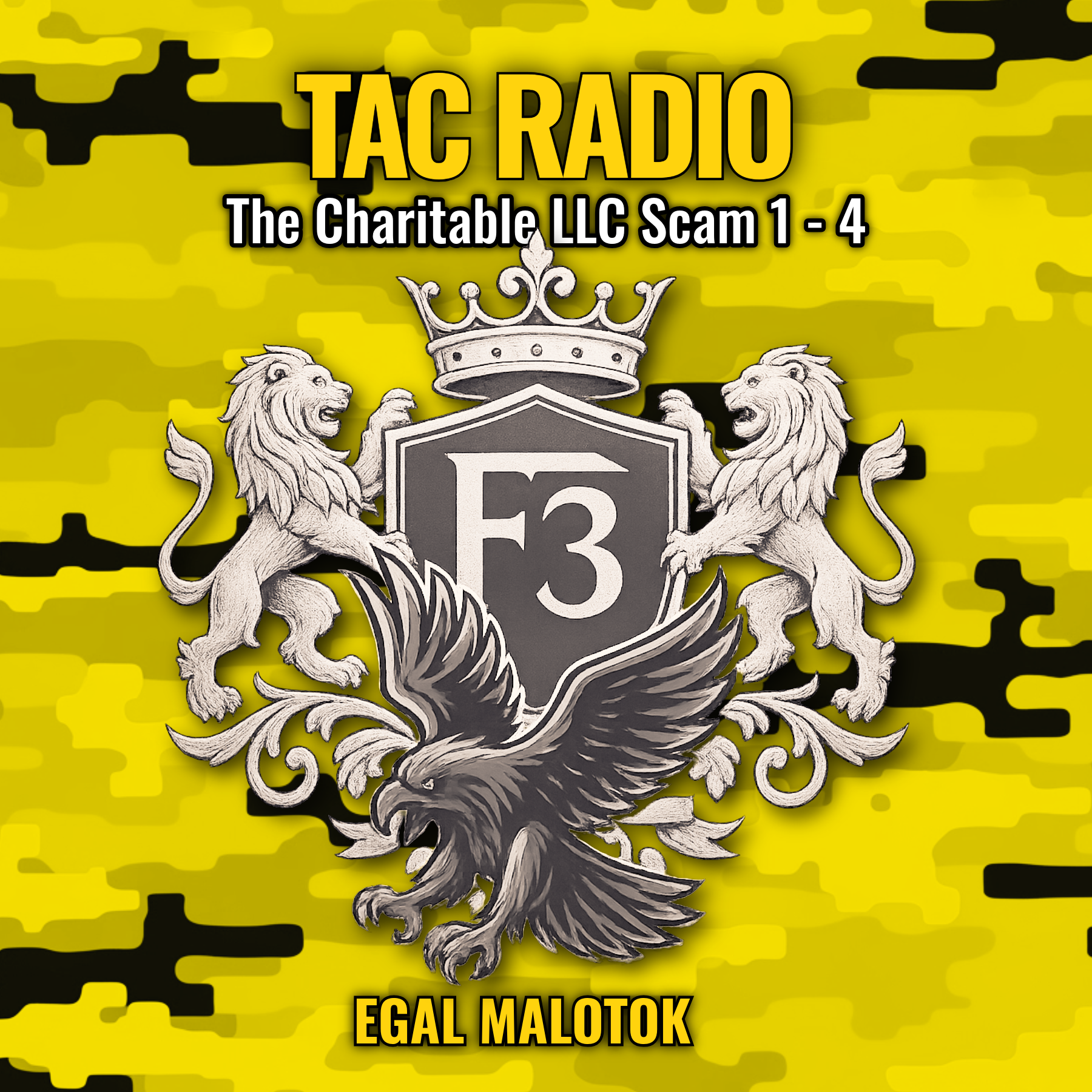 TAC Radio Intelligence Package: The Charitable LLC File